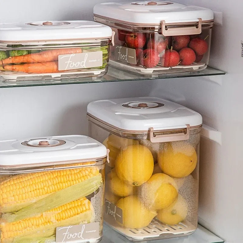 Large Capacity Food Organizer