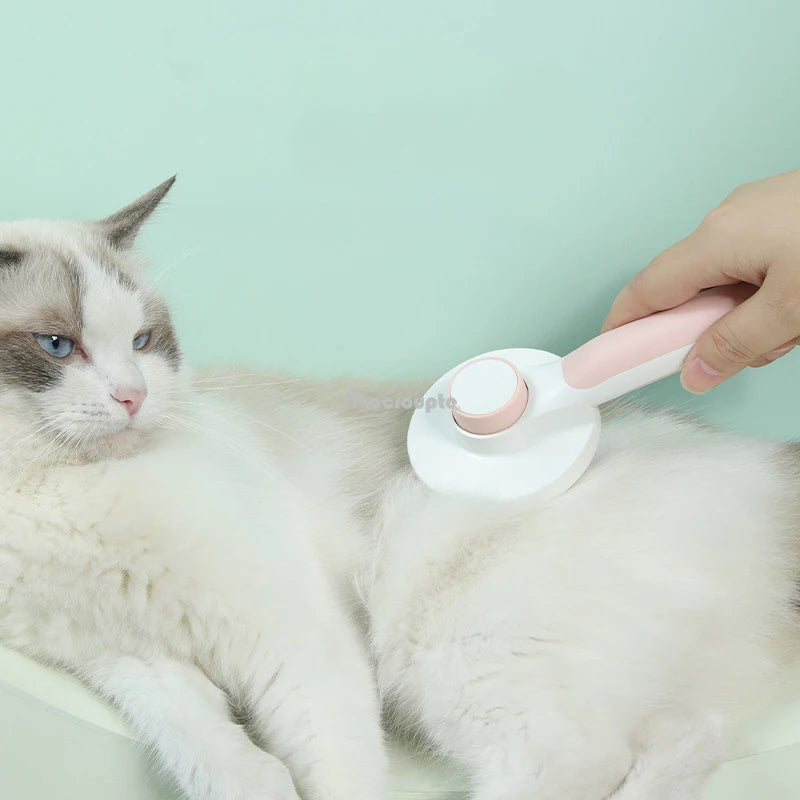 Self-Cleaning Brush