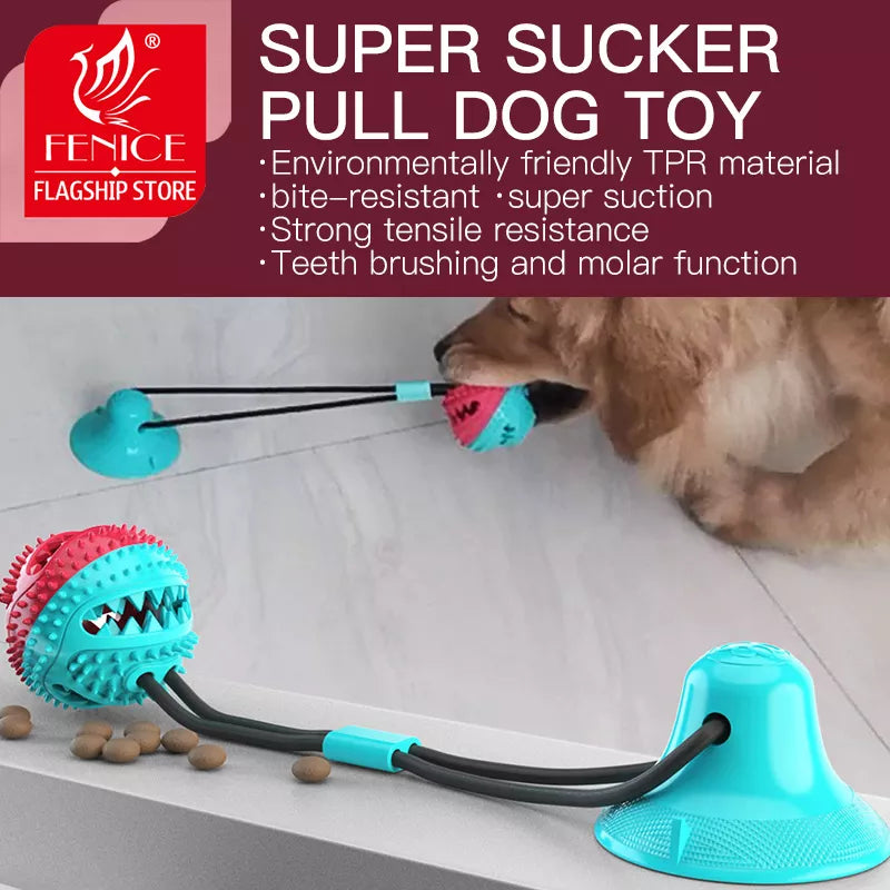 Interactive ball toy for pets.