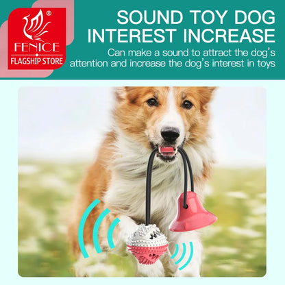 Interactive ball toy for pets.