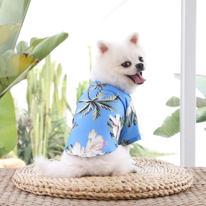 Beach shirt for dogs and cats