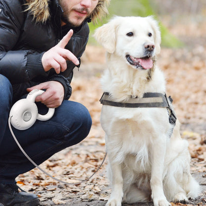 Leashes Retractable dog