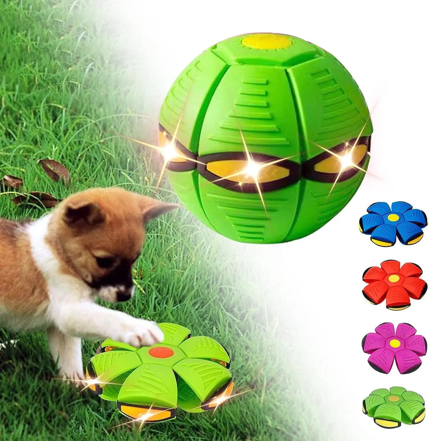 Pet Magic UFO Ball Dog  Interaction