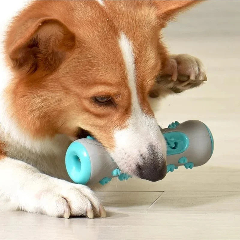 Toothbrush for dogs