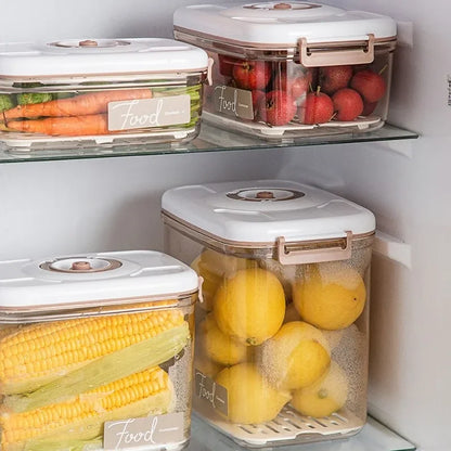 Large Capacity Food Organizer