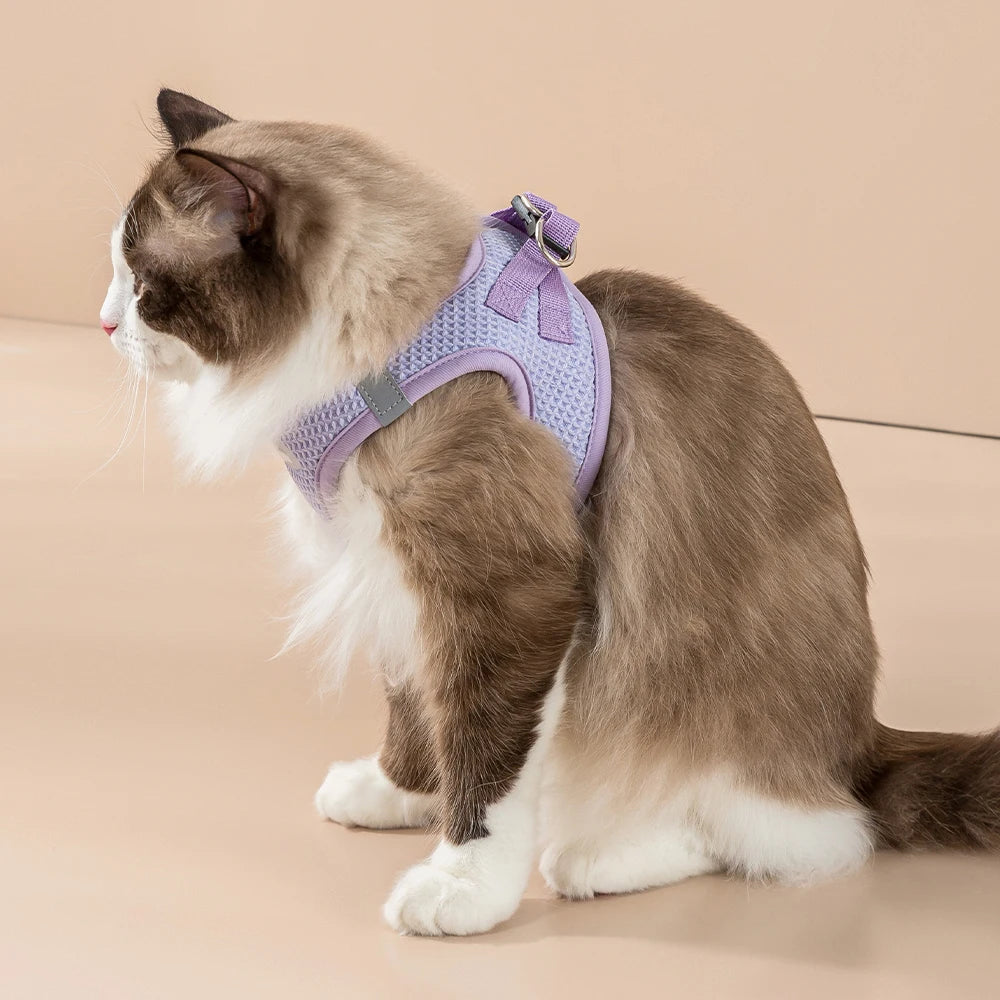 Breathable Pet harness