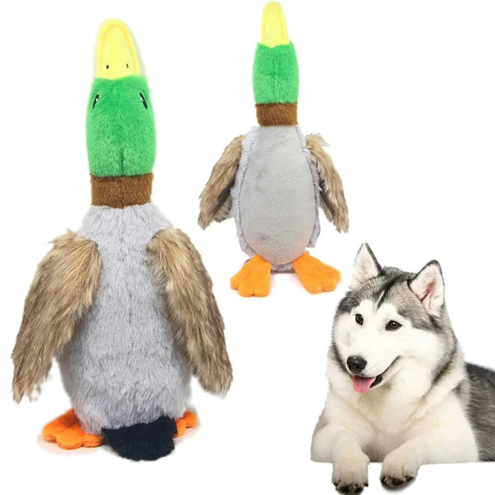 Noisy duck - toy for dogs