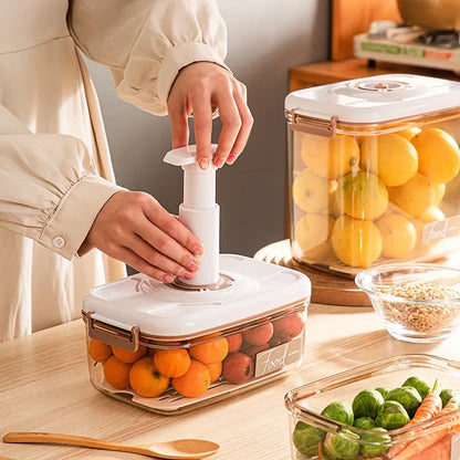 Large Capacity Food Organizer