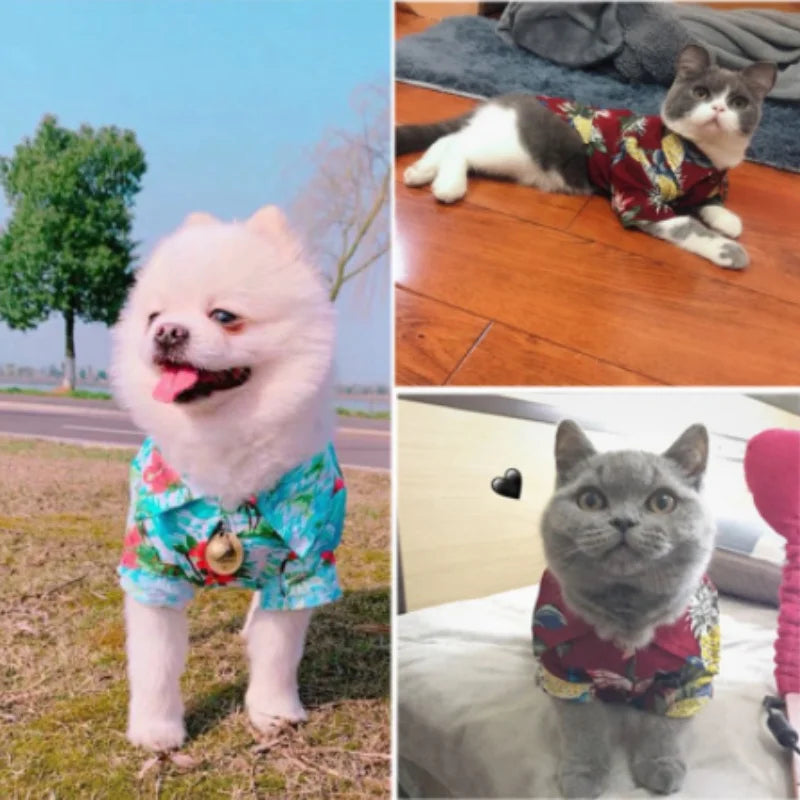 Beach shirt for dogs and cats