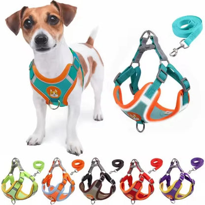 Adjustable Dog Collar Set