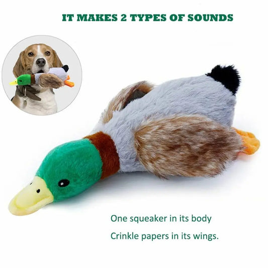 Noisy duck - toy for dogs