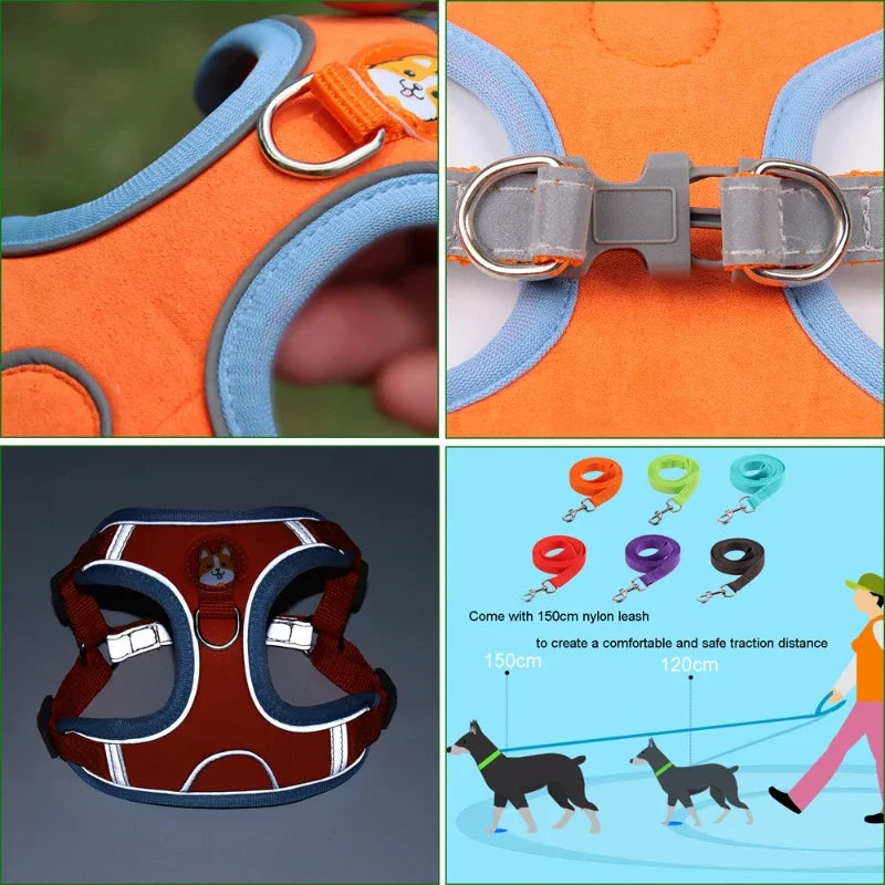 Adjustable Dog Collar Set