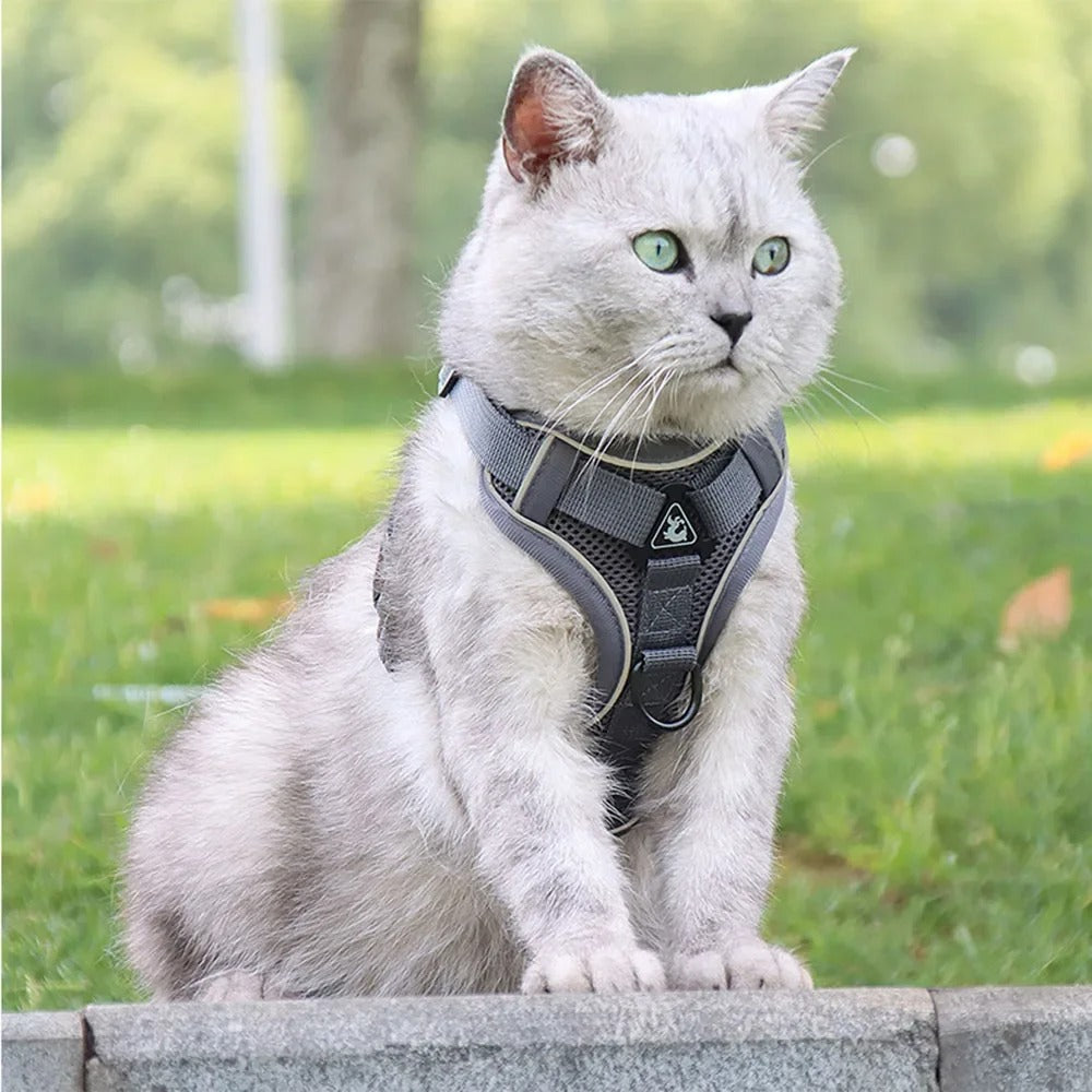 Cat Harness Escape Proof Breathable