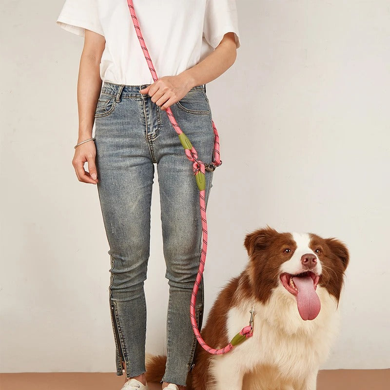 Hands Free Nylon Leashes.