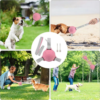 Dog Soccer Ball Toy: Interactive Rubber Water Toy