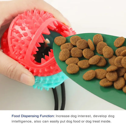 Interactive ball toy for pets.