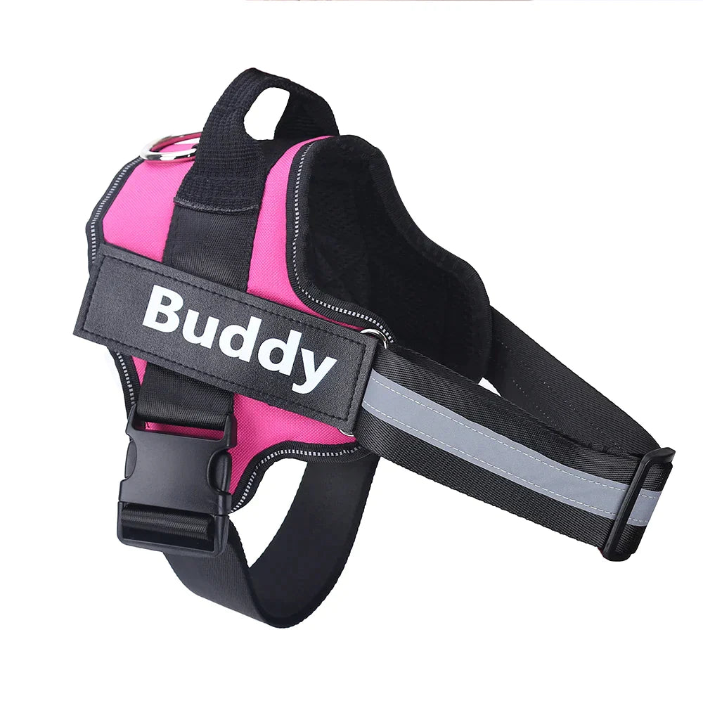 Personalized Dog harness