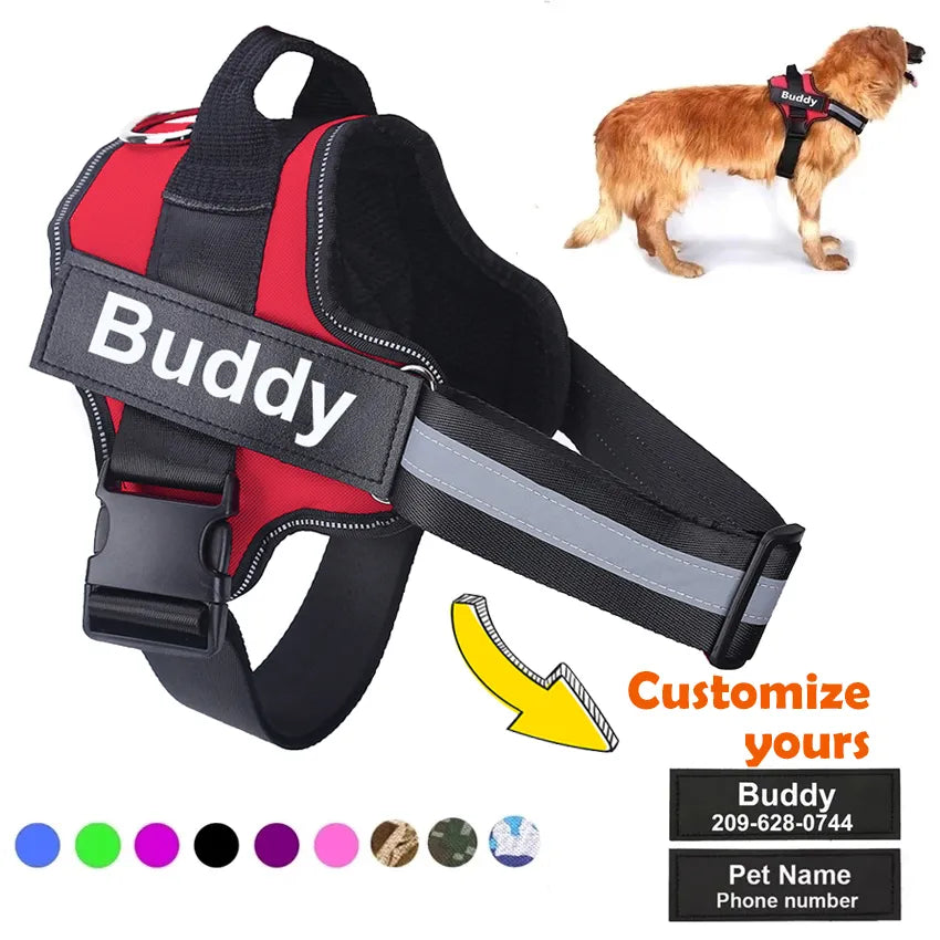 Personalized Dog harness