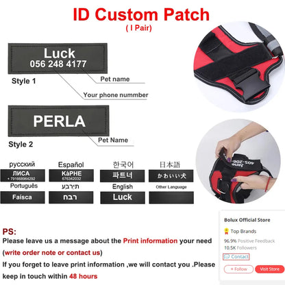 Personalized Dog harness